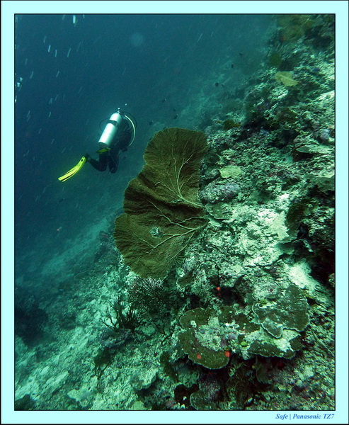 2011 - 08 - Borneo - Sipadan 001